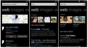 img-77-Bing-gets-a-few
