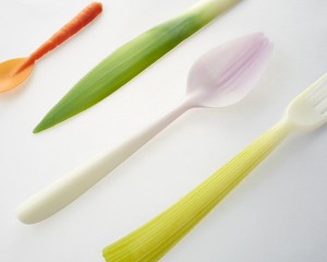 img-475-Eat-Your-Veggie
